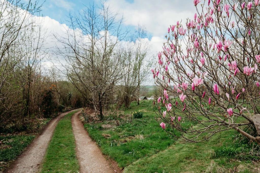 Robin Nest - Cosy Shepherd'S Hut Hideaway Callington Εξωτερικό φωτογραφία